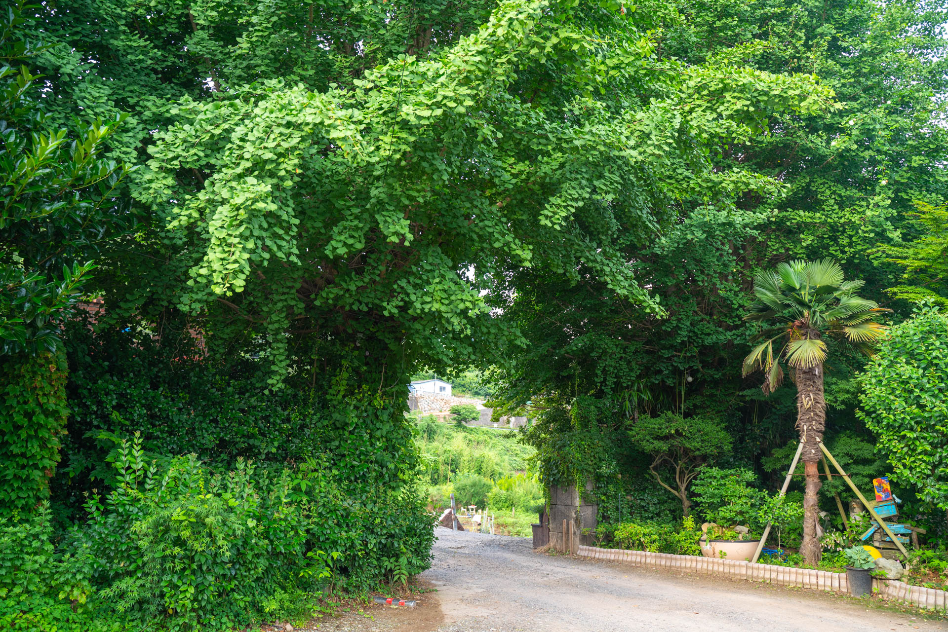 DSC08200